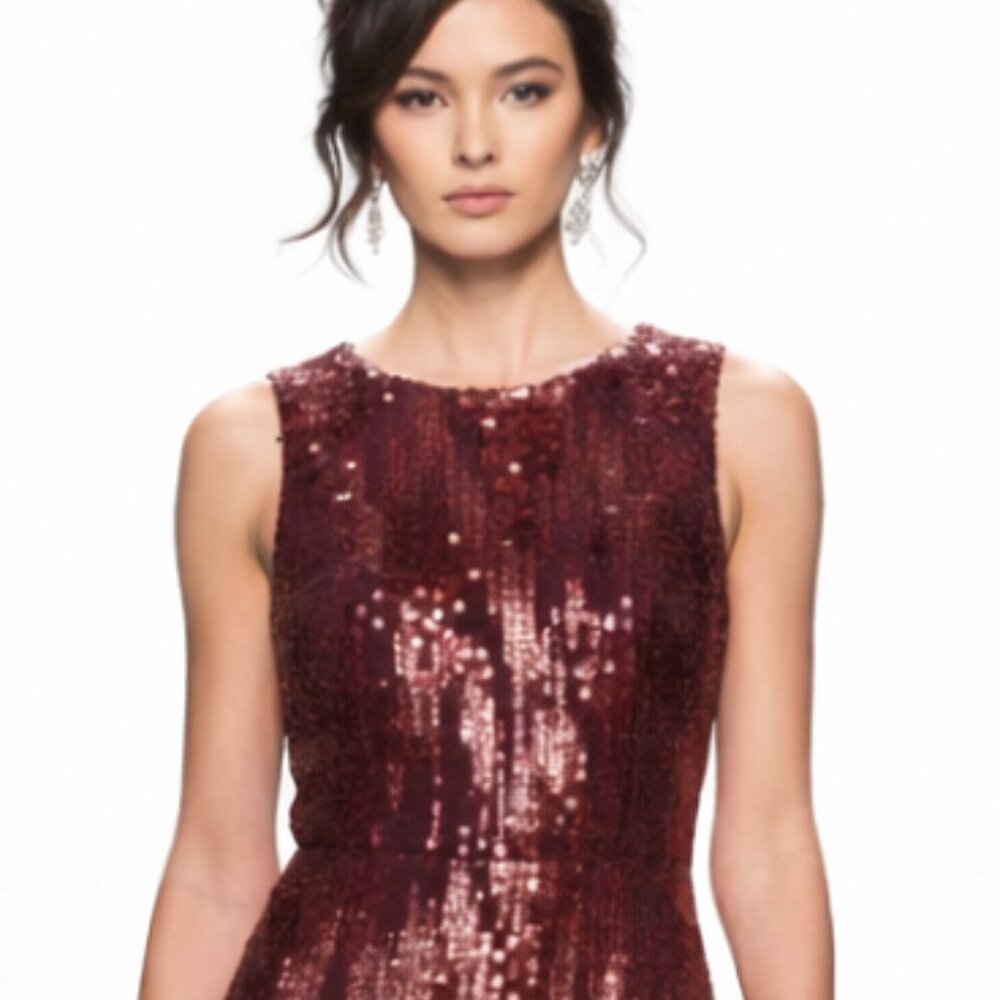 Emerald Sundae Burgundy Sequin Velvet Cocktail Dress - S NEW - Picture 8 of 12